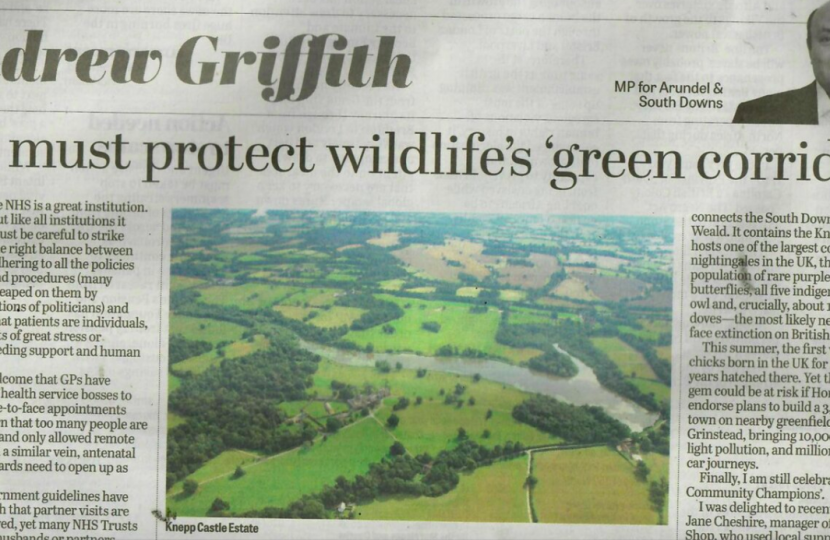 We must protect wildlife's 'green corridors'