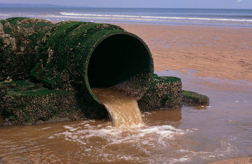 Sewage pipe