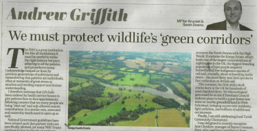 We must protect wildlife's 'green corridors'