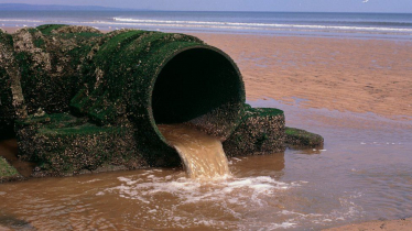 Sewage pipe